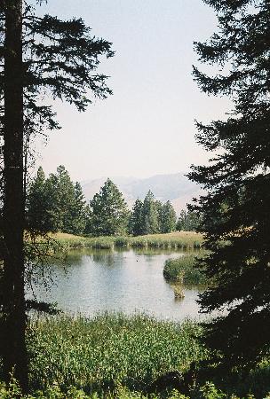 beaverponds1.JPG