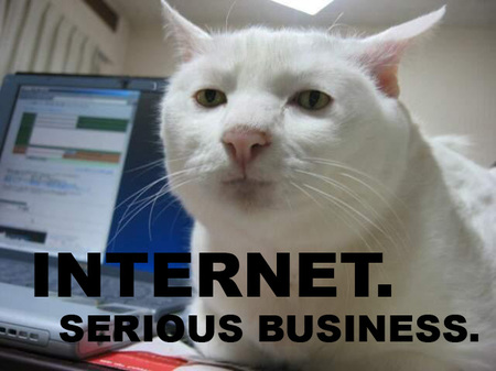 image: internet-serious-business-cat-thumb