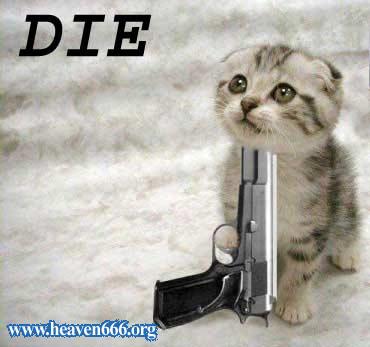 <img:http://ramblingrhodes.mu.nu/archives/suicidalkitty.jpg>